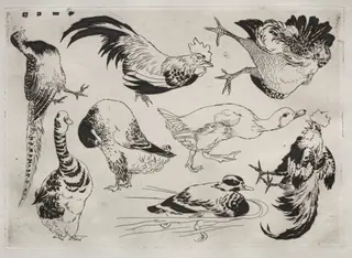 Dinner Service (Rousseau service): Roosters, ducks, etc. (no. 13), by Félix Bracquemond, 1866