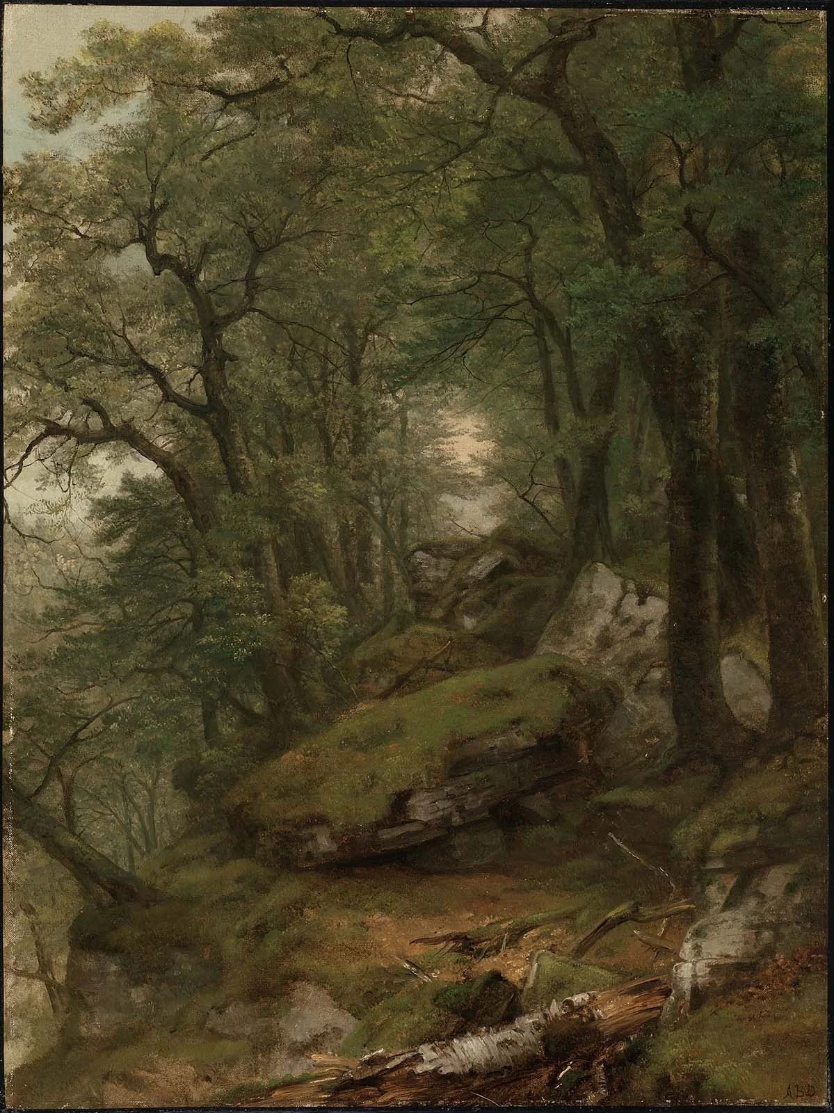 Woodland Interior, detail