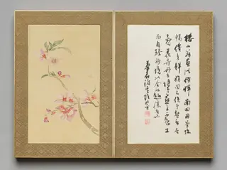 Preface from Flowers and Grasses, by Tsubaki Chinzan, unspecified, 1841