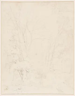 Study of trees, by John Sell Cotman, 1805