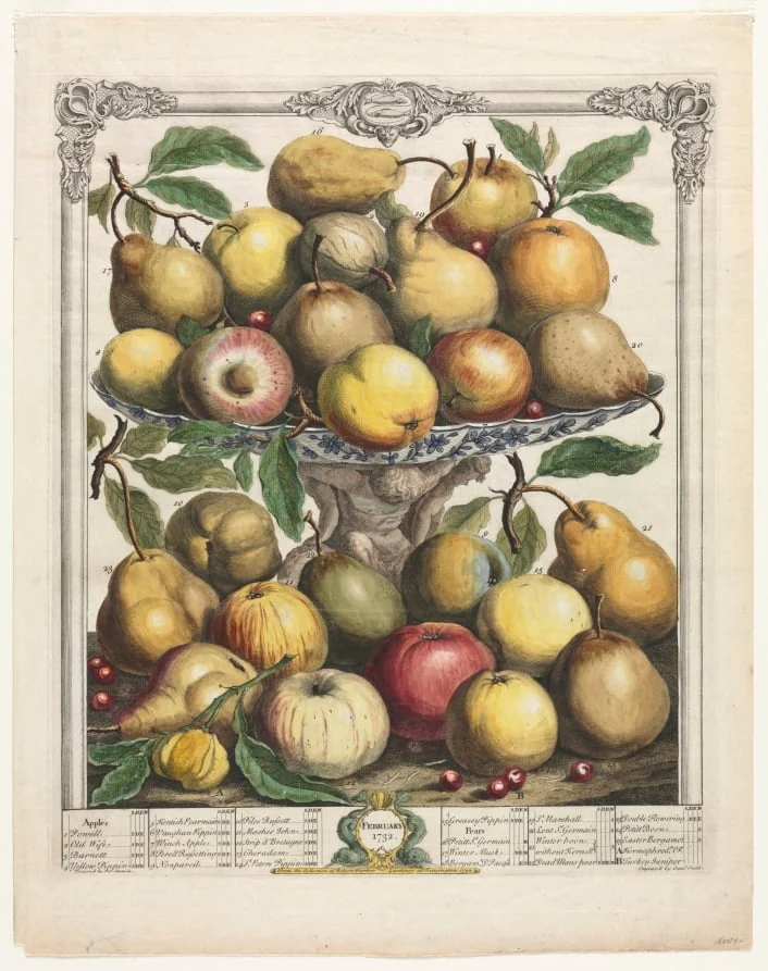 Twelve Months of Fruit: February, detail