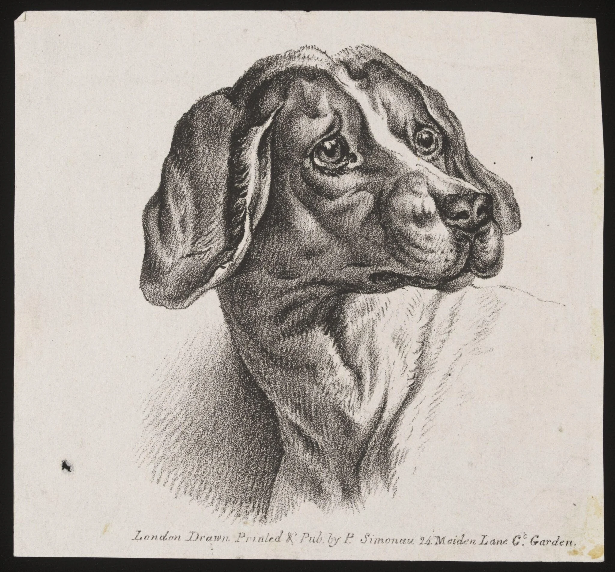 Untitled, detail