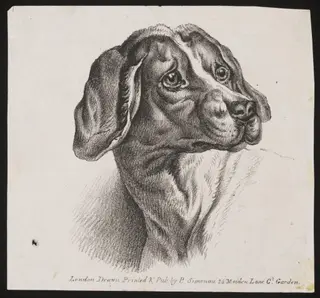 Untitled, by P. Simonau, 1850