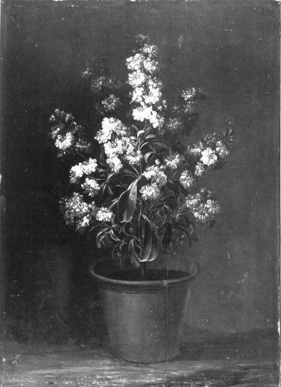 Blumenstück (Weiße Levkojen), detail