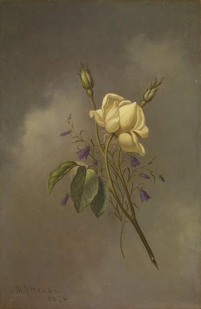 A Yellow Rose Against a Cloudy Sky, detail
