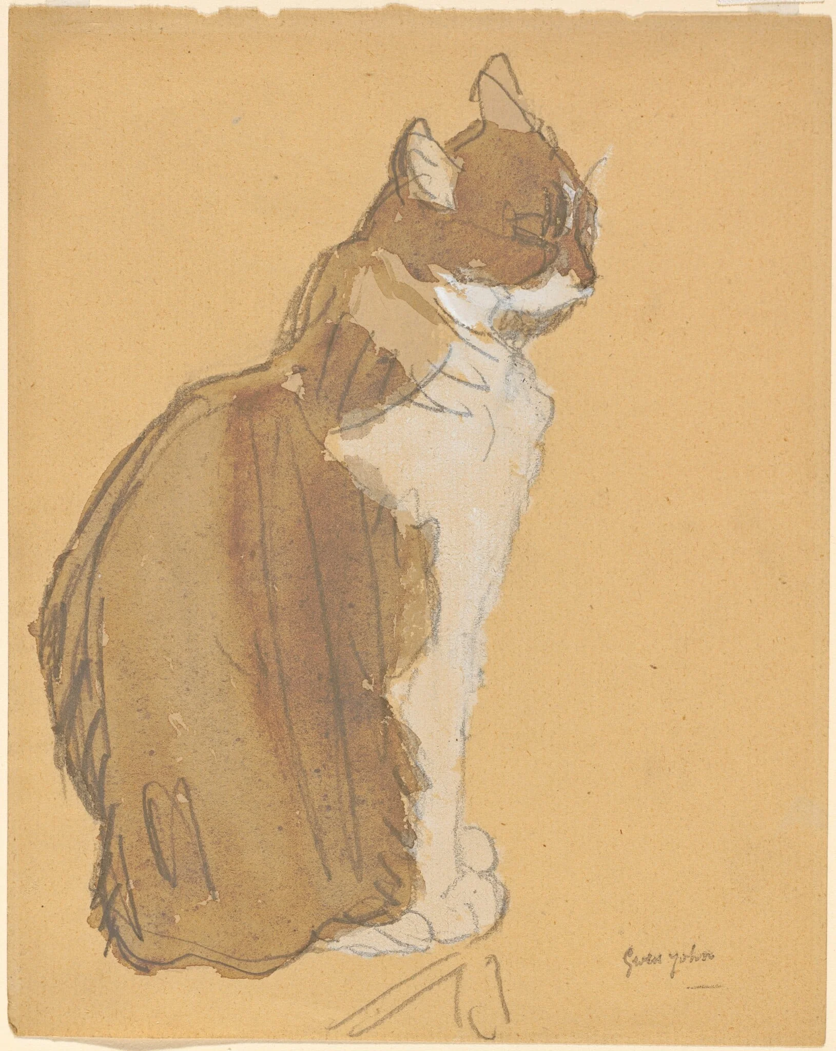 Cat with a White Front, detail