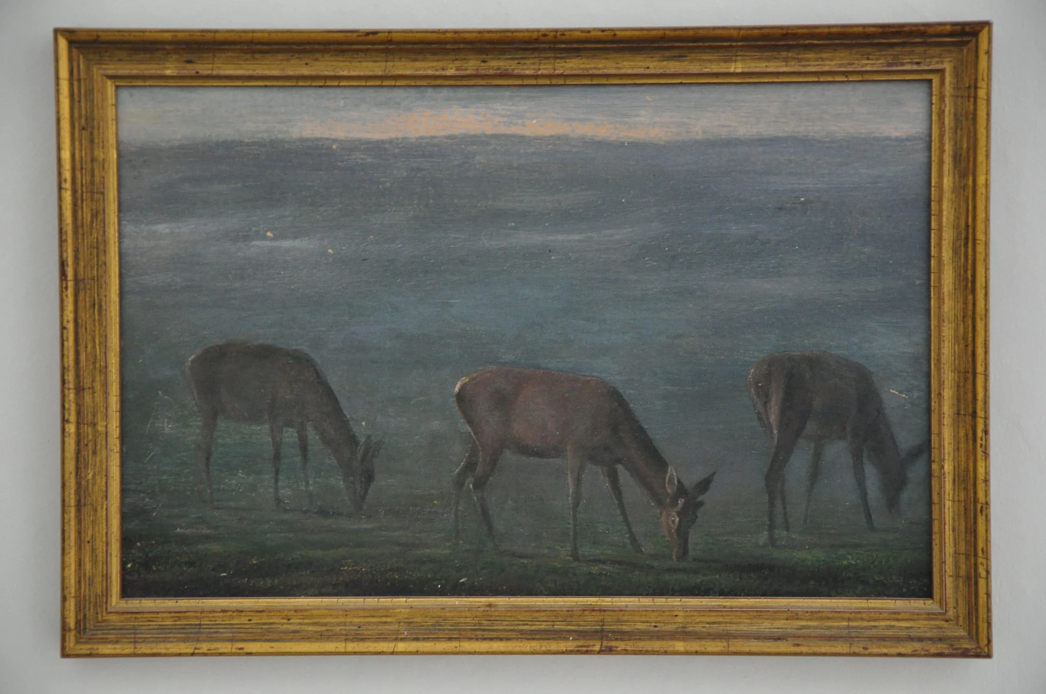Drei äsende Hirschkühe, detail