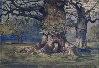 Old Oak at Windsor, by Andrew MacCullum, watercolor, 1850