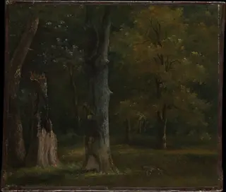 Trees in the Bois de Boulogne, Paris, by Achille Etna Michallon, unspecified, 1812