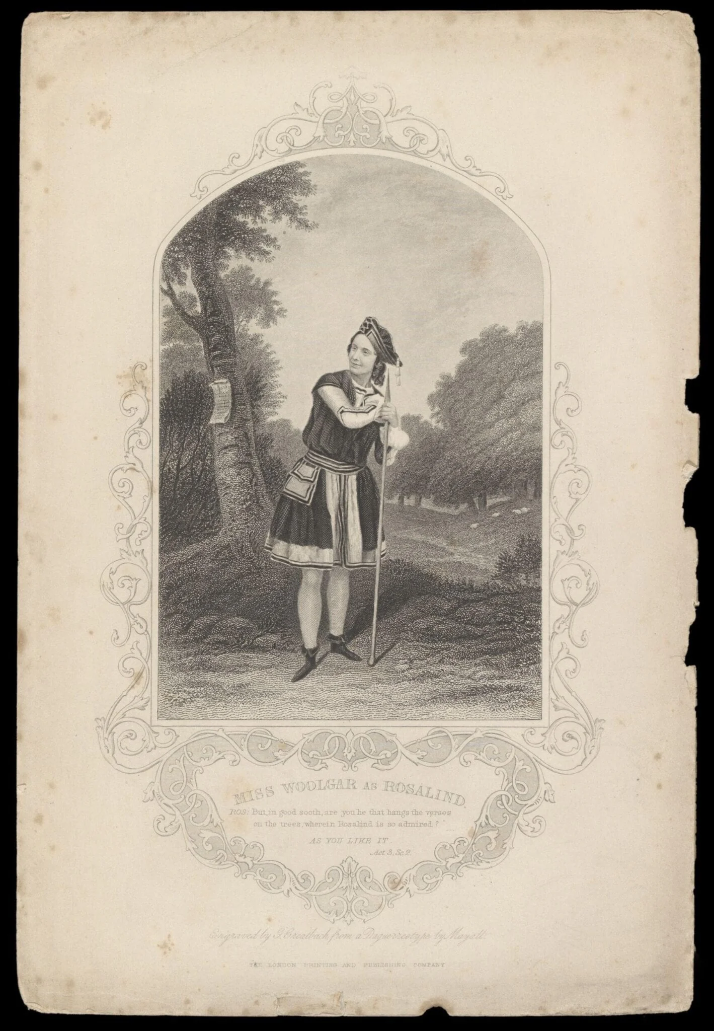 H Beard Print Collection, detail
