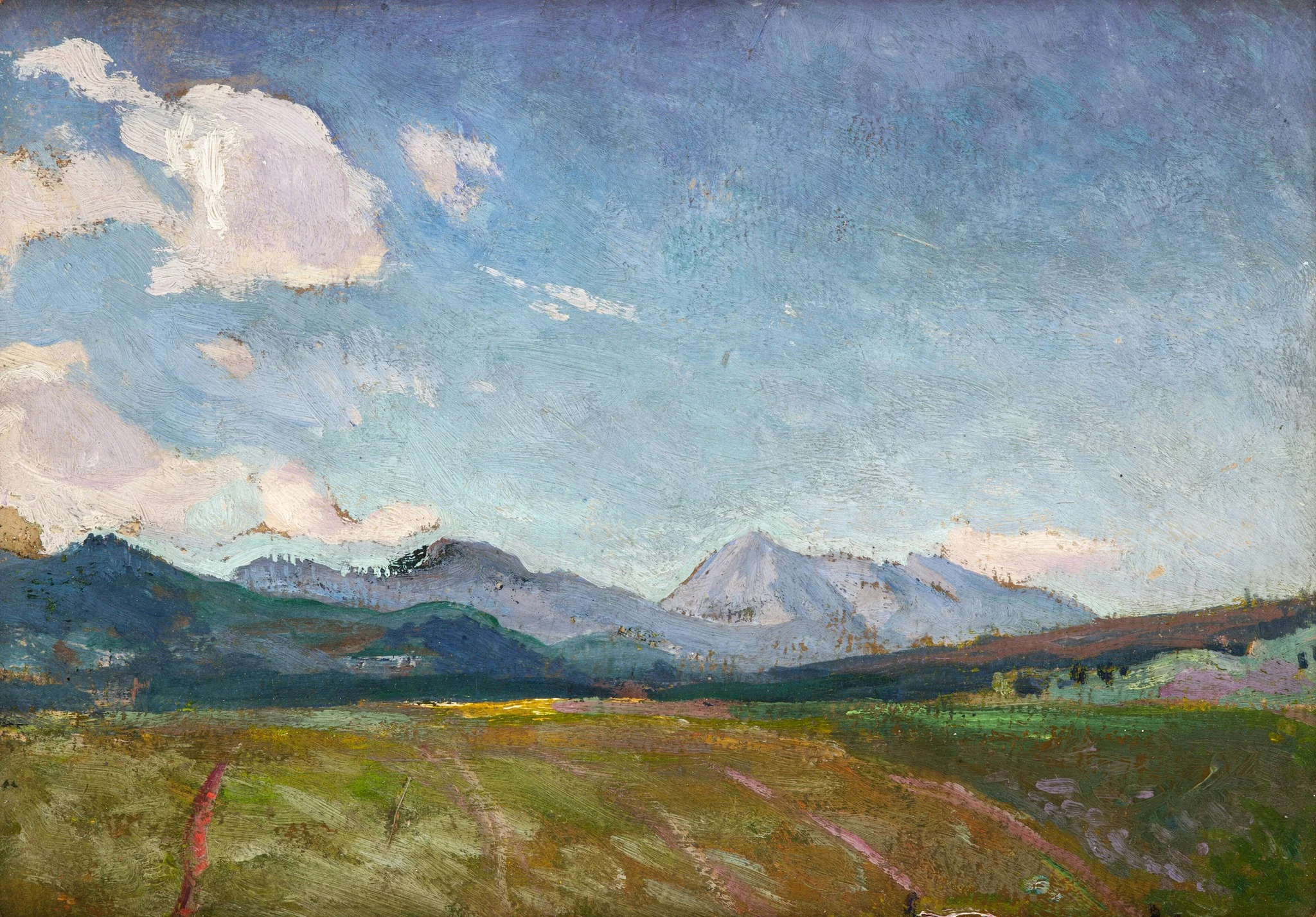 View towards Osobita (Zakopane), detail
