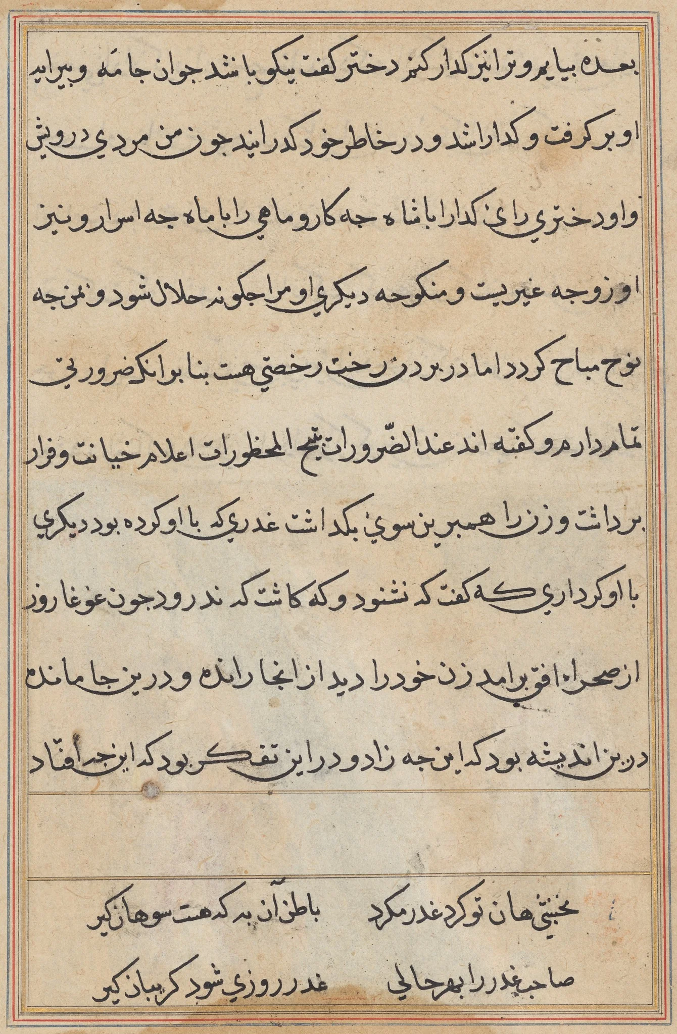 Page from Tales of a Parrot (Tuti-nama): text page, detail