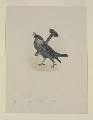 Jackdaw Sweep, by Beatrix Potter, watercolor, 30
