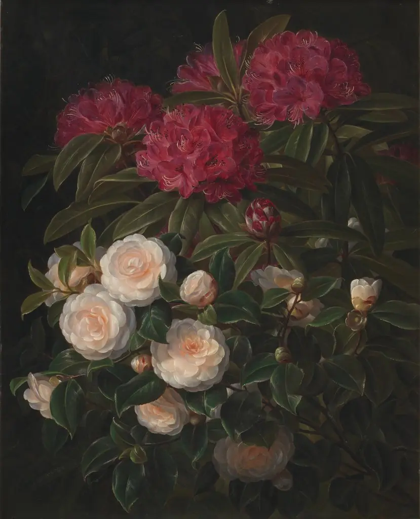 Kamelier og rhododendron, by Johan Laurentz Jensen, oil, 1852