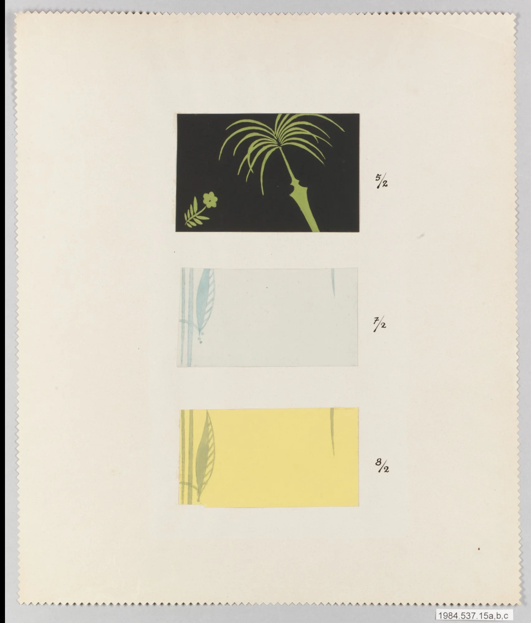 PALM, detail