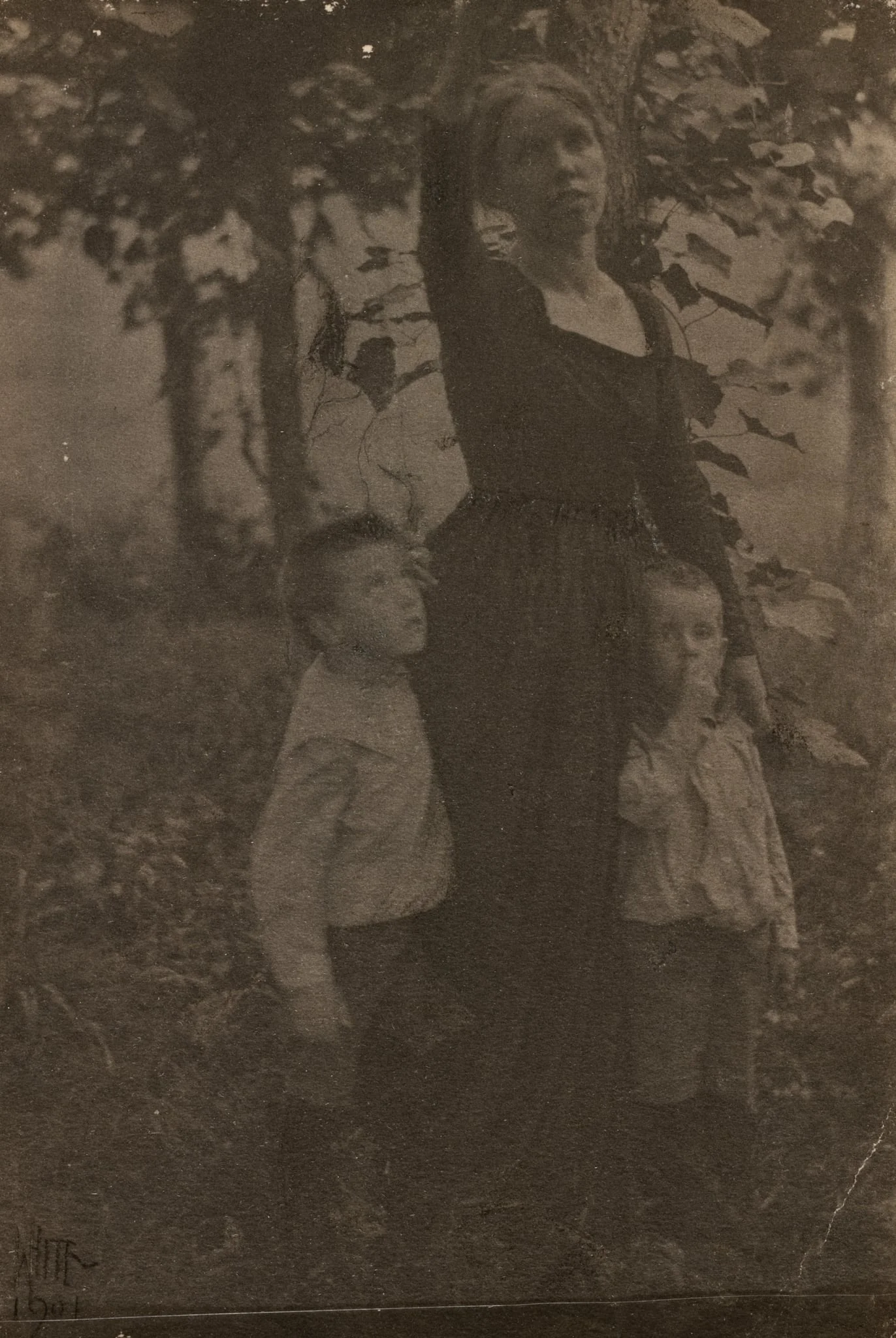 Jane White, Lewis White, and Maynard White, detail