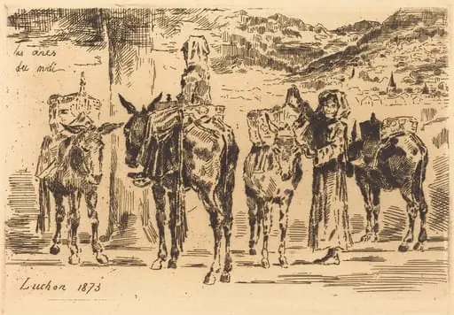 Feuilles d'Anes du Midi, by Félix-Hilaire Buhot, ink, 1873