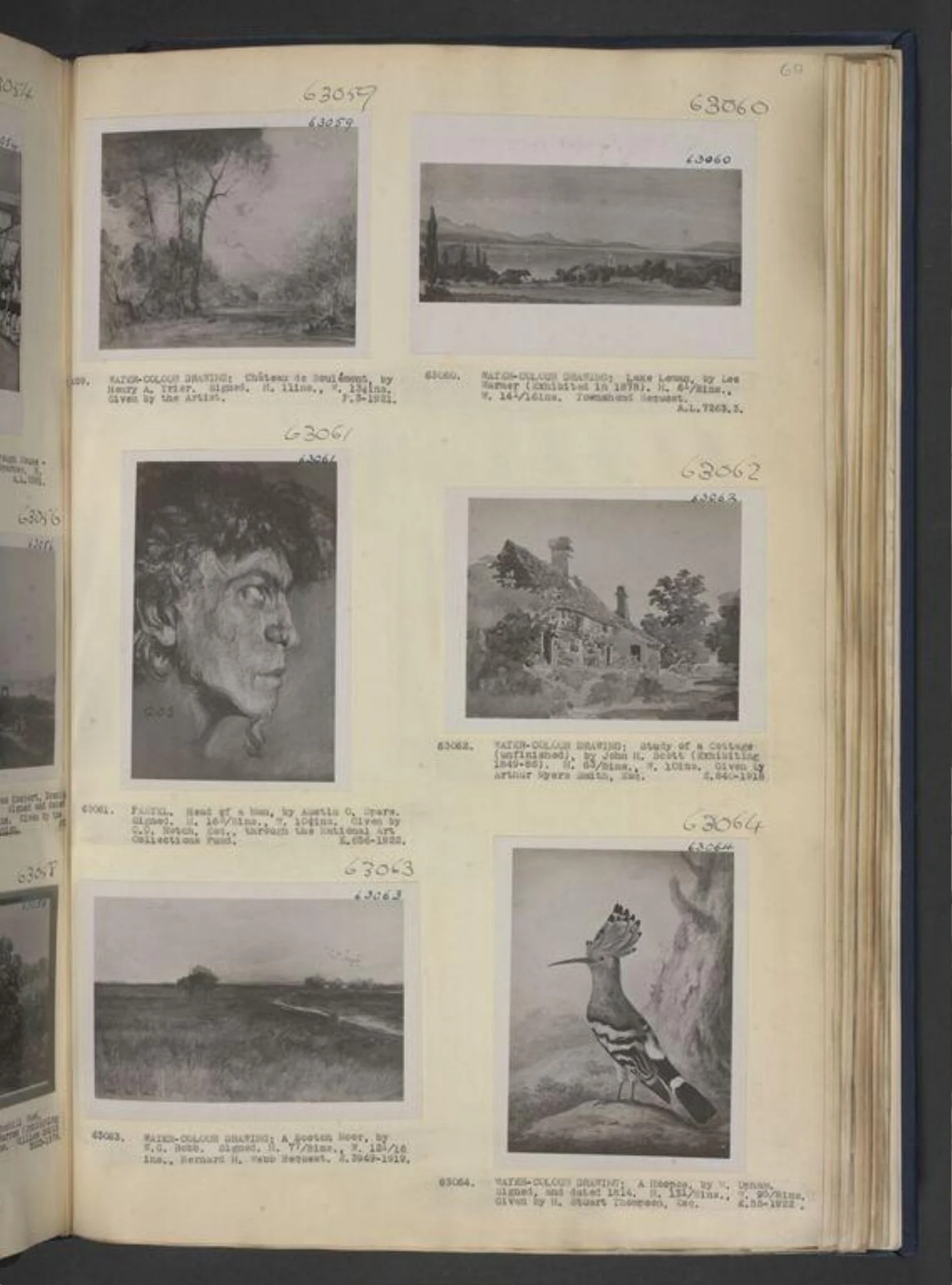 Untitled, detail