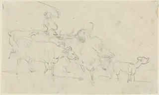 Cattle, by Thomas Rowlandson, graphite, 1792