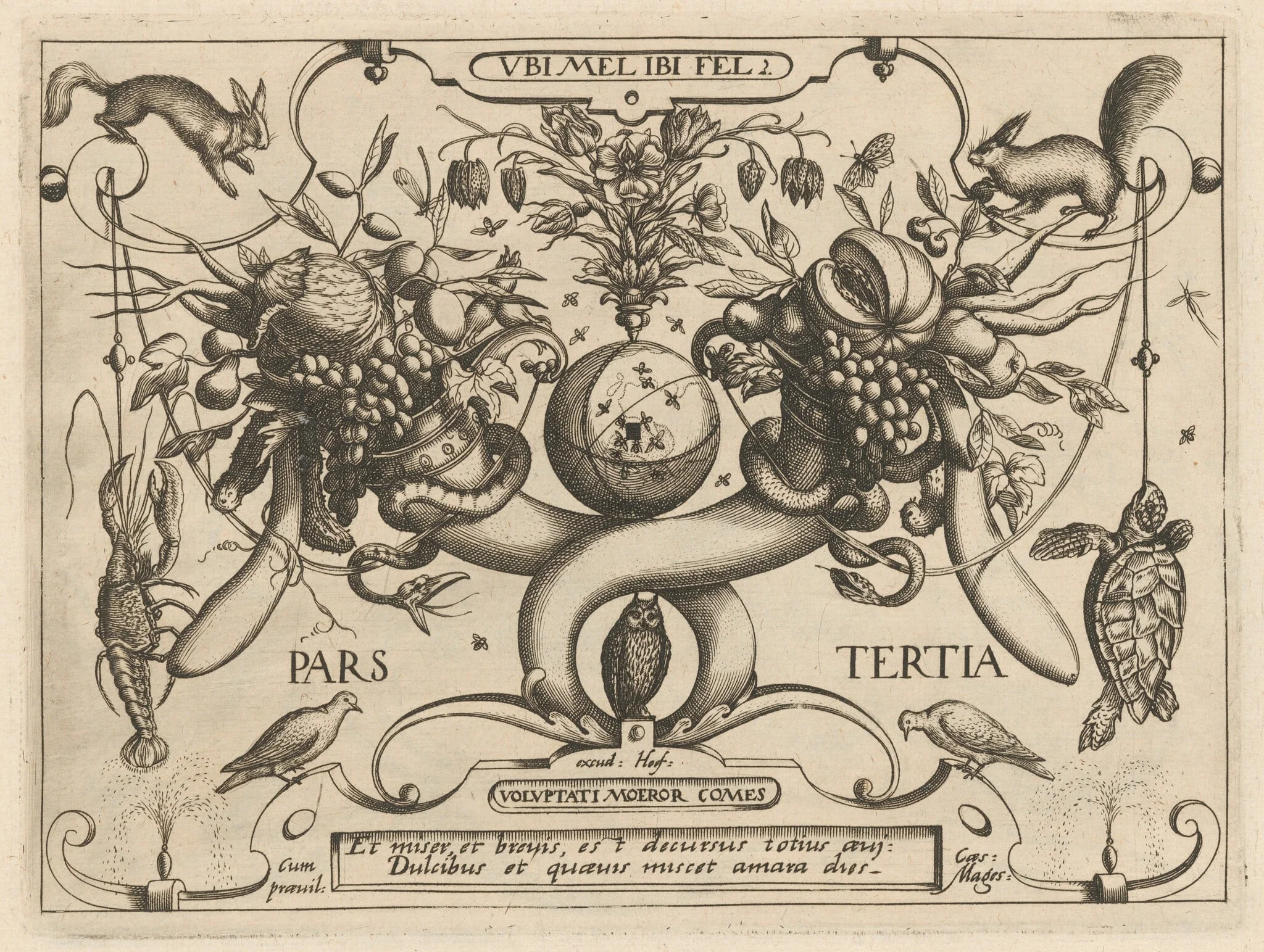 Archetypa studiaque patris Georgii Hoefnagelii [Part 3, Plate 1], detail