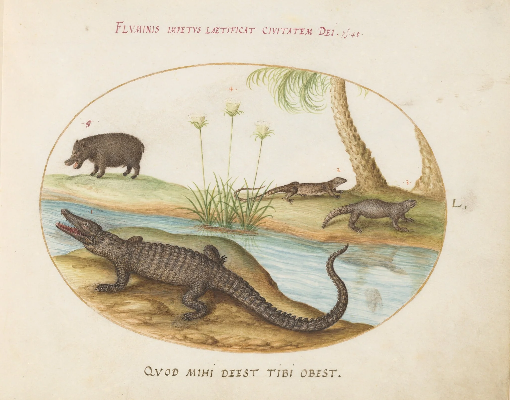 Plate 50: A Crocodile, a Hippopotomus, a Land Crocodile or Tegu Lizard(?), and a Crocodile or Spiny-Tailed Lizard with a Papyrus Plant, detail