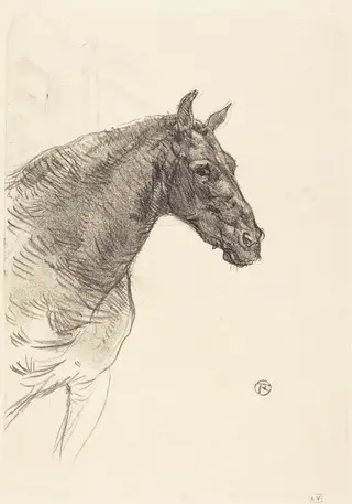 Old Horse (Le vieux cheval), by Henri de Toulouse-Lautrec, ink, 1897