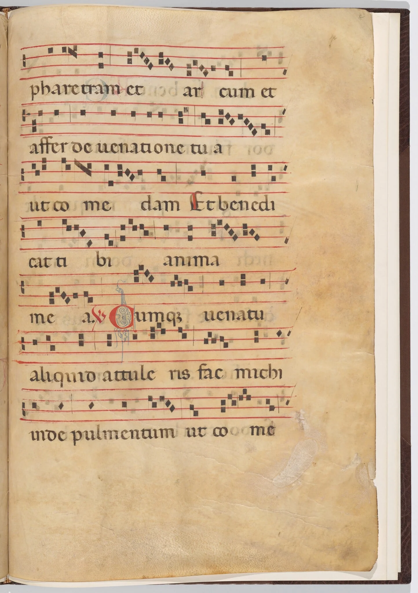 Leaf 8 from an antiphonal fragment, detail