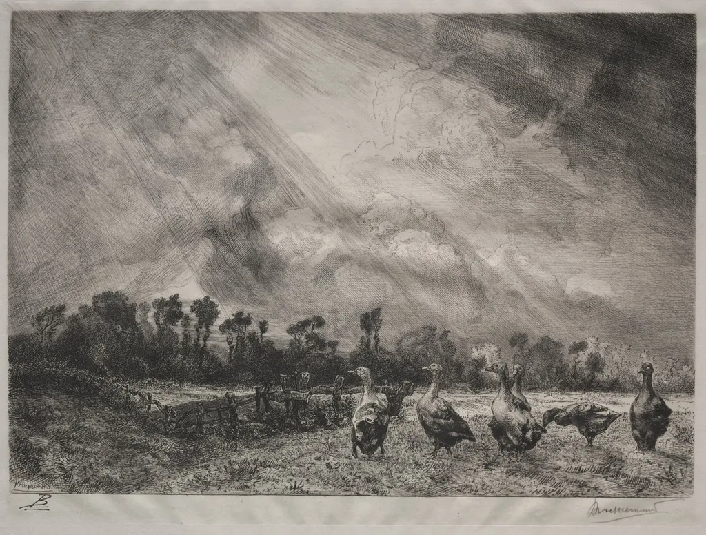 The Storm Cloud, by Félix Bracquemond, 1882
