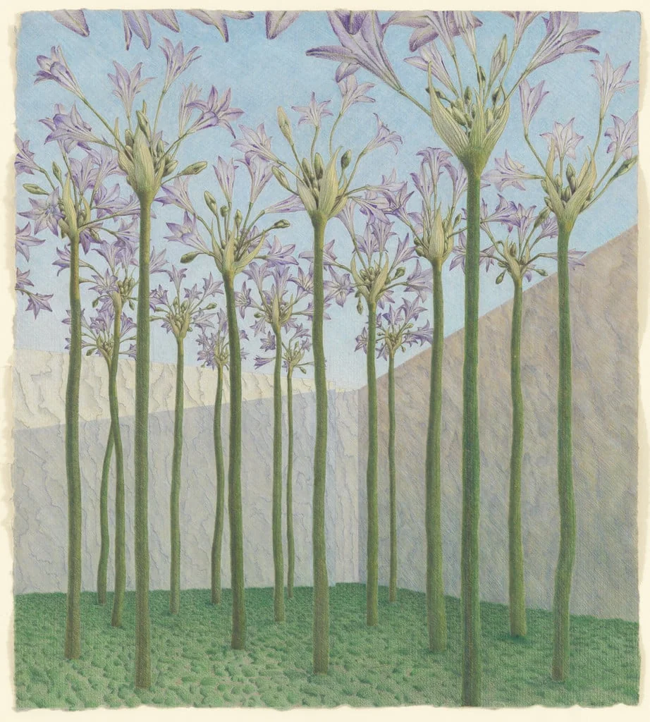 Untitled, detail