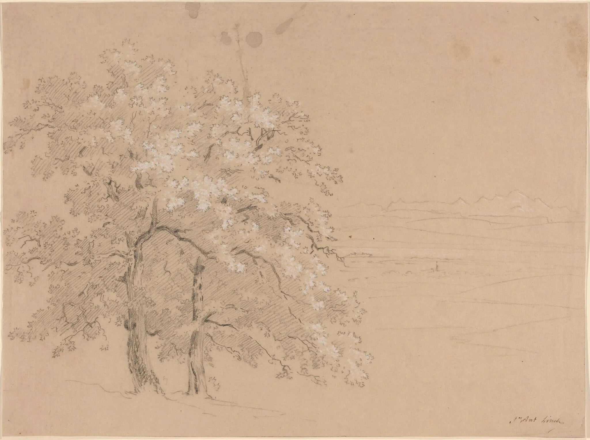 Sunlit Trees Before a Panoramic Landscape, detail
