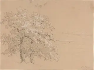 Sunlit Trees Before a Panoramic Landscape, by Jean Antoine Linck, chalk, 1814