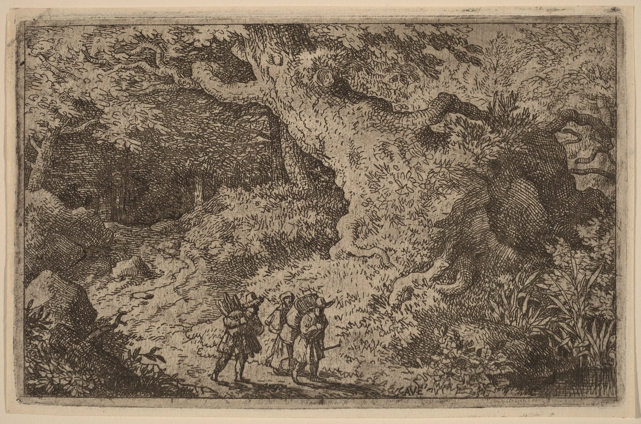 A Thick Forest, detail