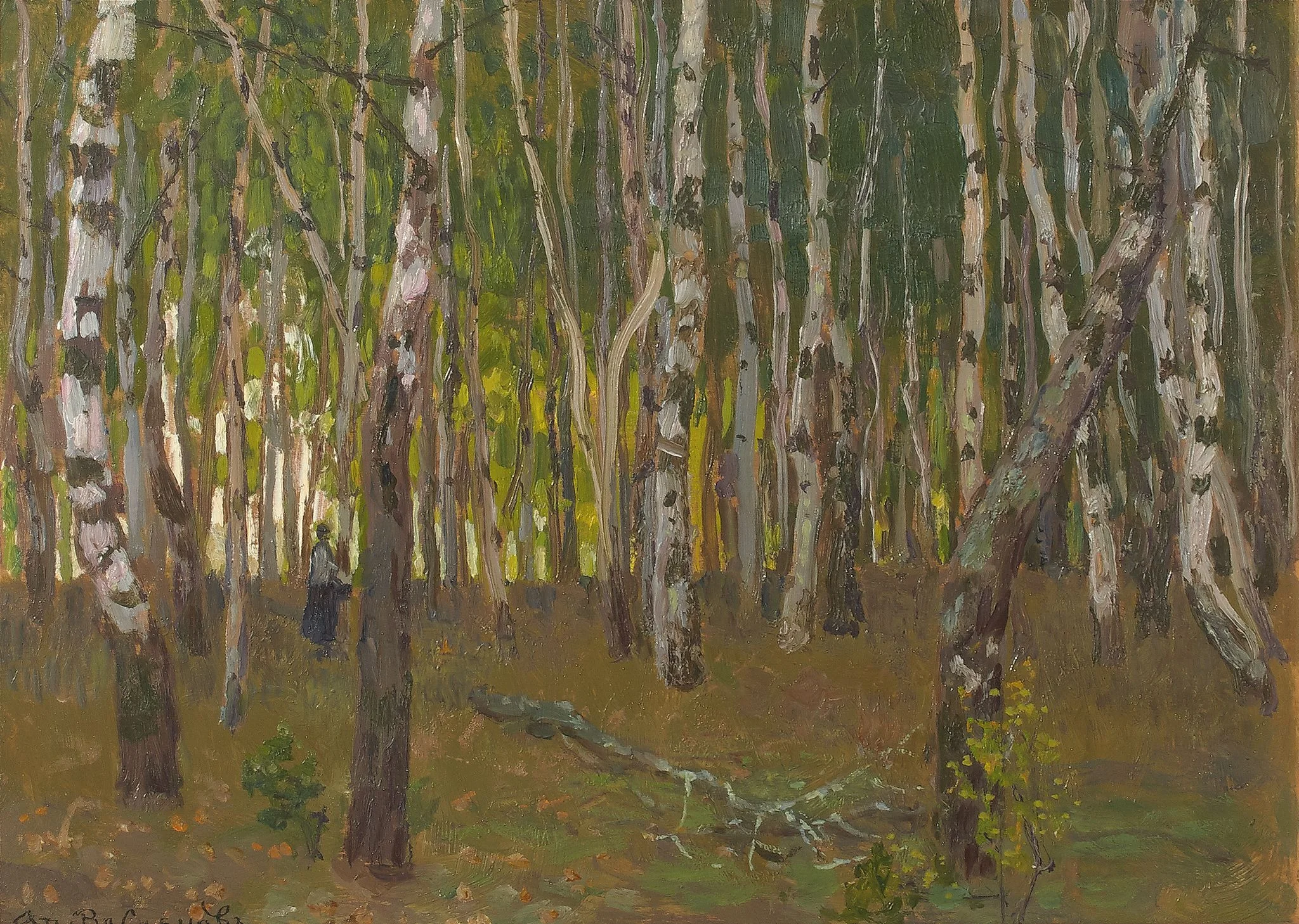 Demyanovo. Birch Grove, detail