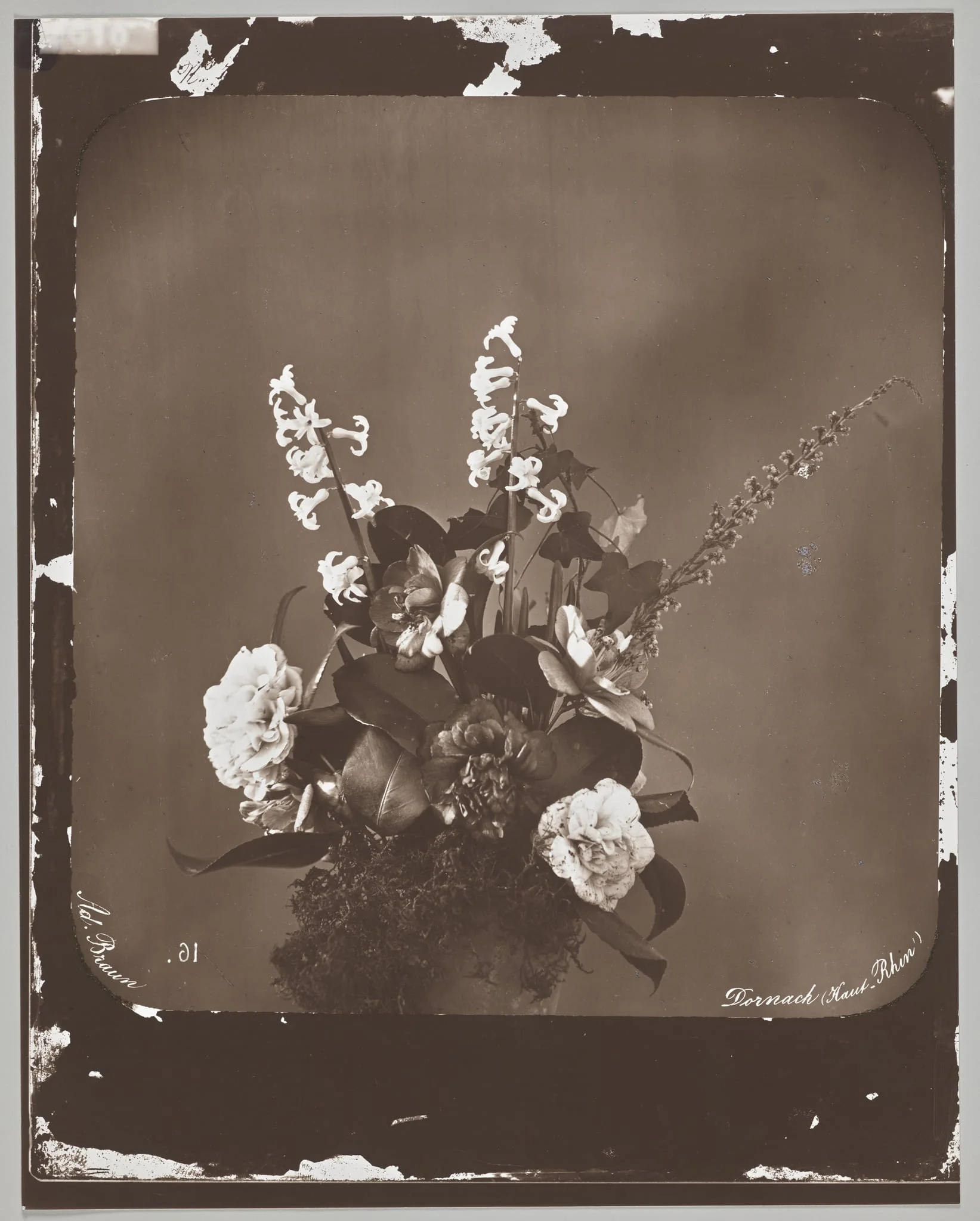 Untitled (flower arrangement), detail