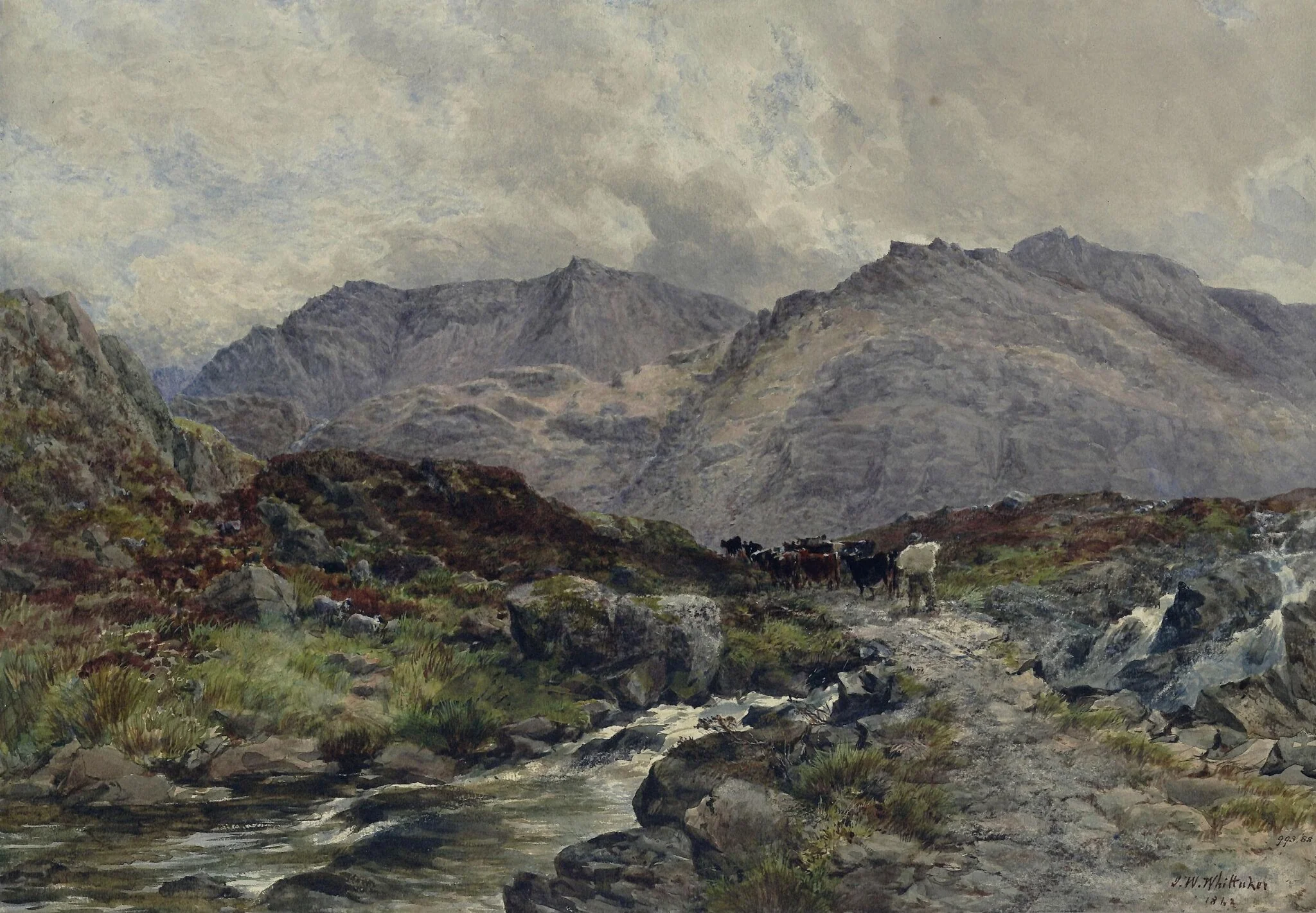Mountain scene in North Wales with stream and cattle, detail
