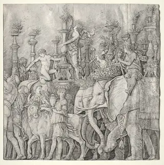 The Triumphs of Caesar: The Elephants, by Giulio Campagnola, 1488