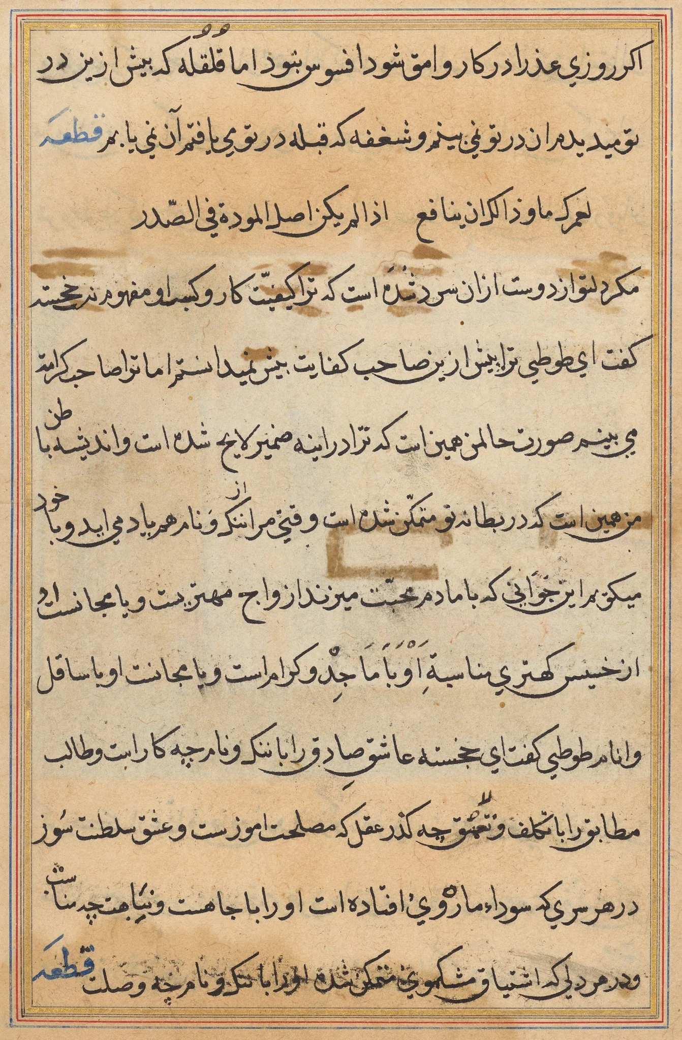 Page from Tales of a Parrot (Tuti-nama): text page, detail
