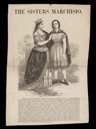 H Beard Print Collection, by Illustrated News of the World, 22