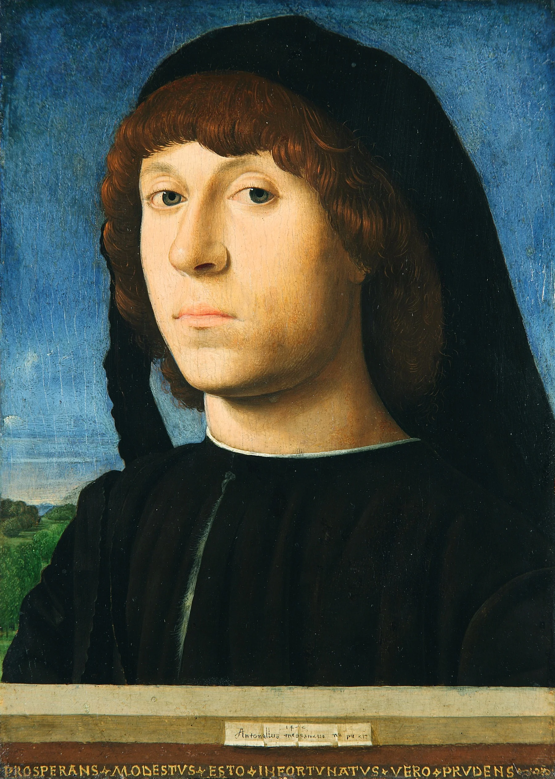 Portrait of a young Man, detail