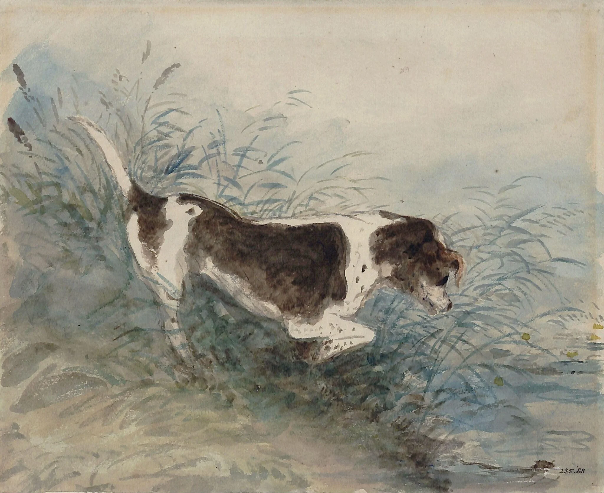 A dog watching a rat in the water at Dedham, detail