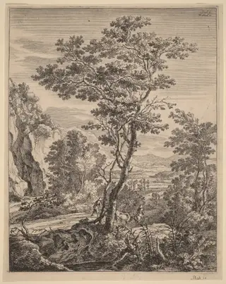 The Large Tree, by Jan Both, ink
