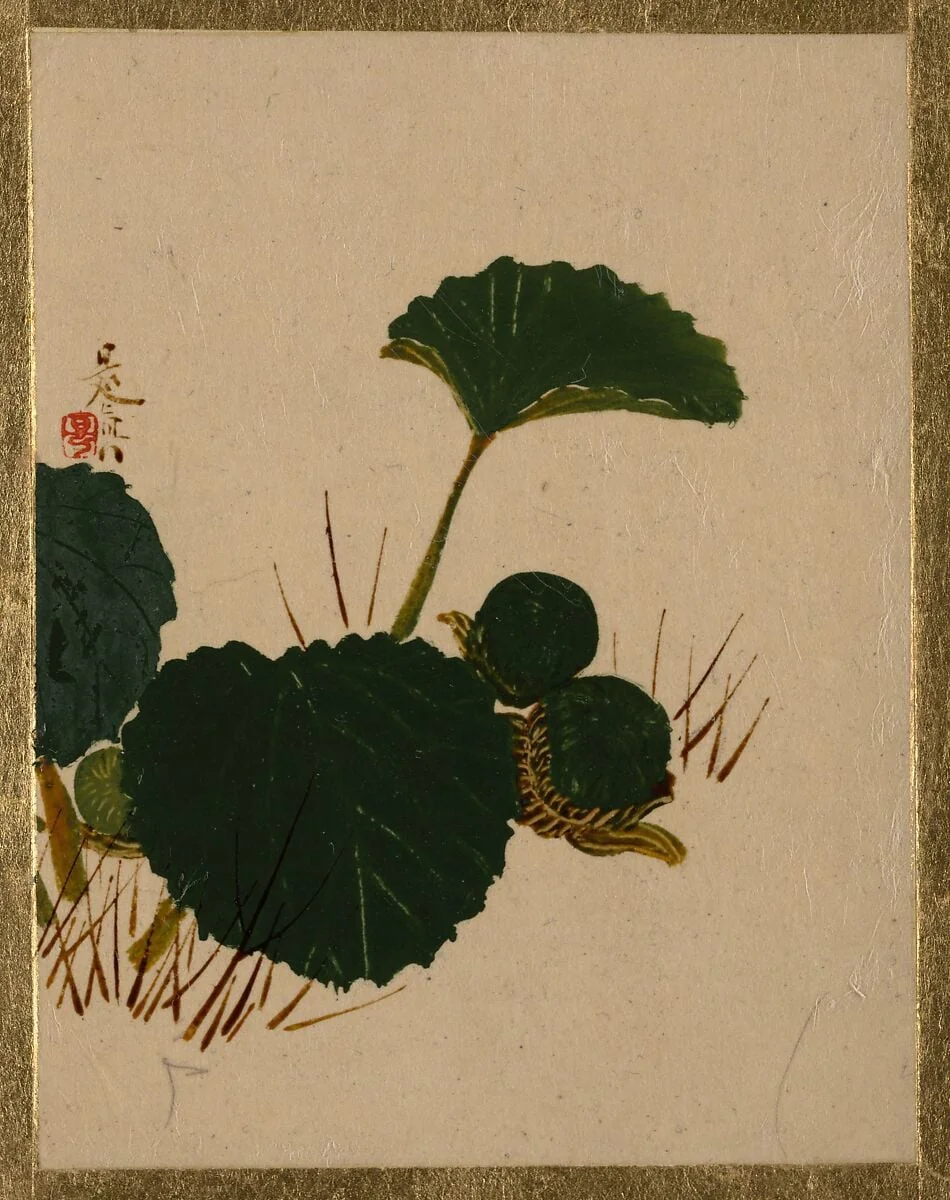 Untitled, detail