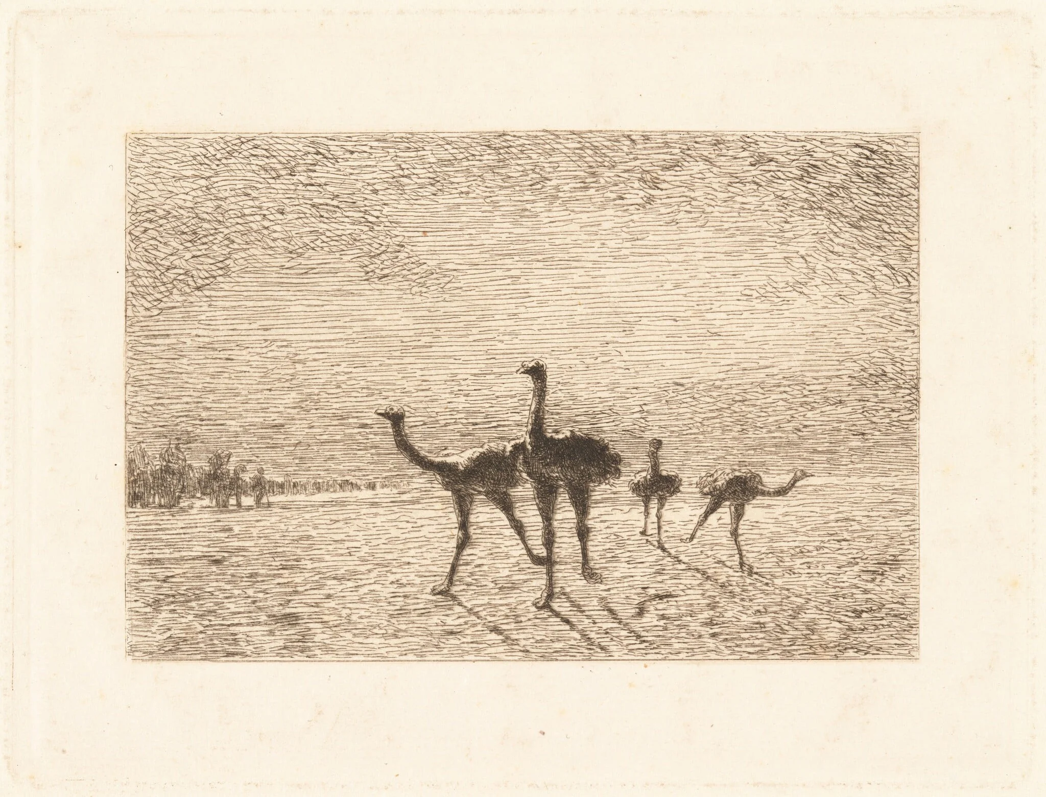 Ostriches in the Desert, detail