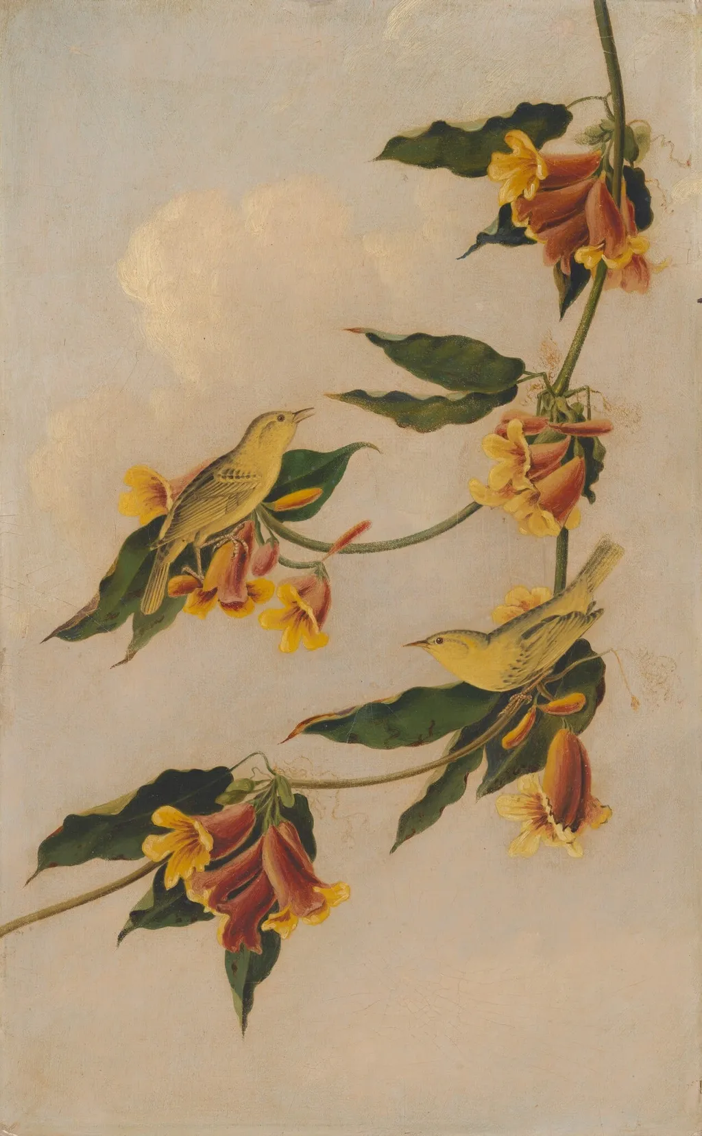 Yellow Warbler, by Joseph Bartholomew Kidd, oil, 1832