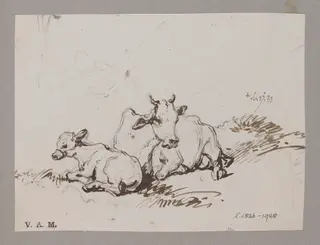 A cow and calf, by George Chinnery, 17