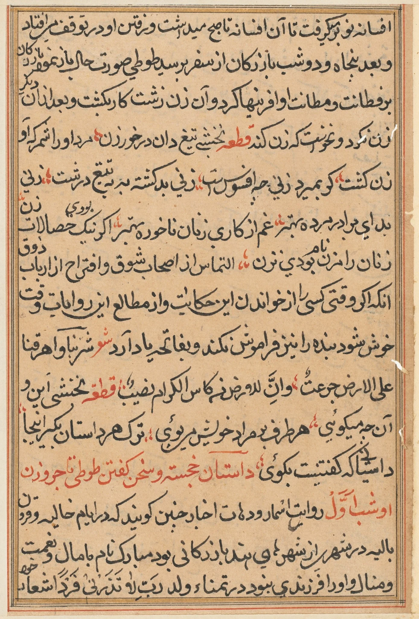 Page from Tales of a Parrot (Tuti-nama): text page, detail