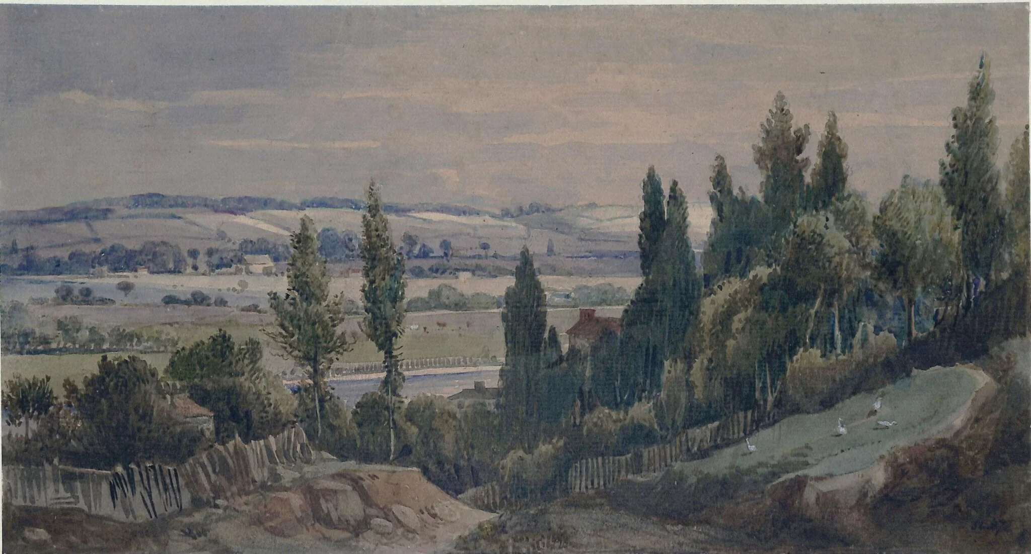 Hampstead Heath, detail