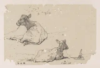 Two drawings of a tethered calf, by George Chinnery, 6