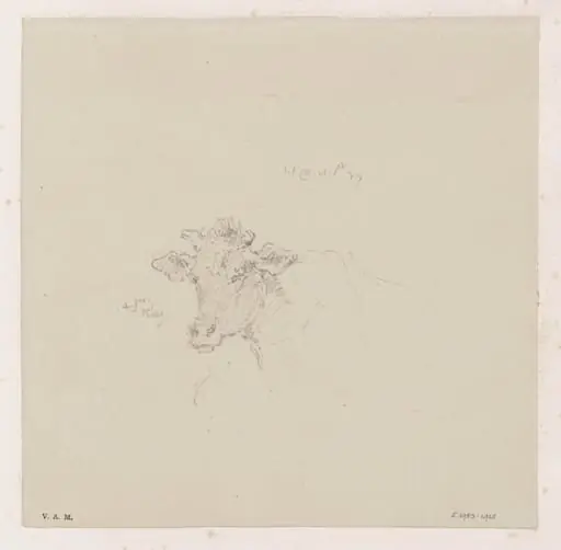 The head of a cow, by George Chinnery, 8