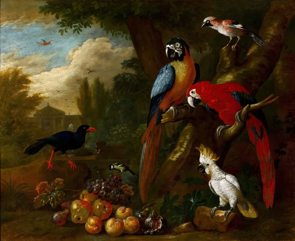 Two Macaws, a Cockatoo and a Jay, with Fruit, by Jakob Bogdani, oil, 1710
